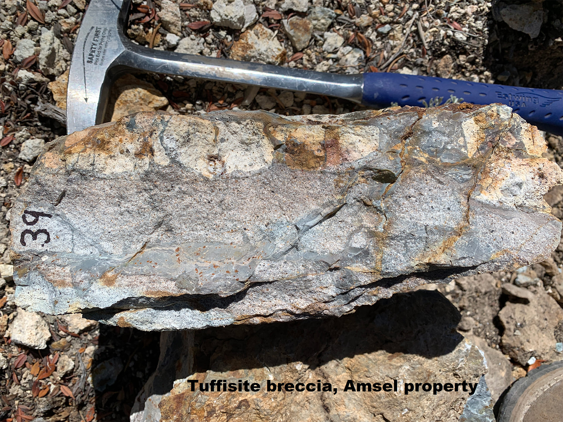 Drill core and hand sample Photographs