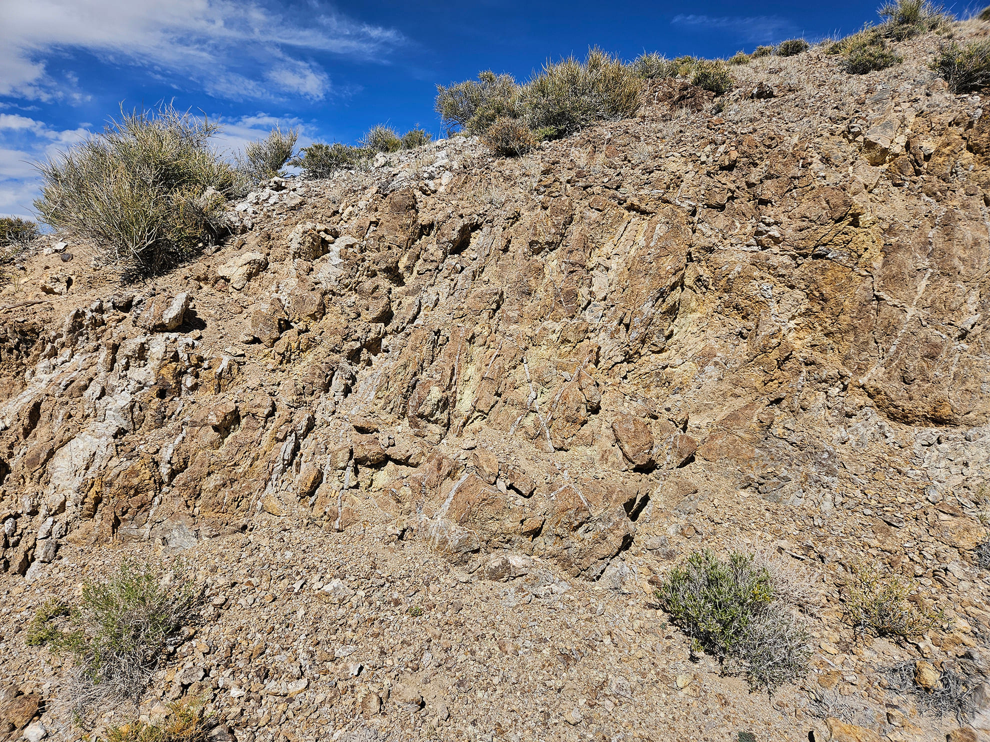 Sheeted and stockwork veins of quartz-garnet-sulfide in recrystallized limestone host rock at the drill collar site for NB26-003, Jeep Mine, May 2026.