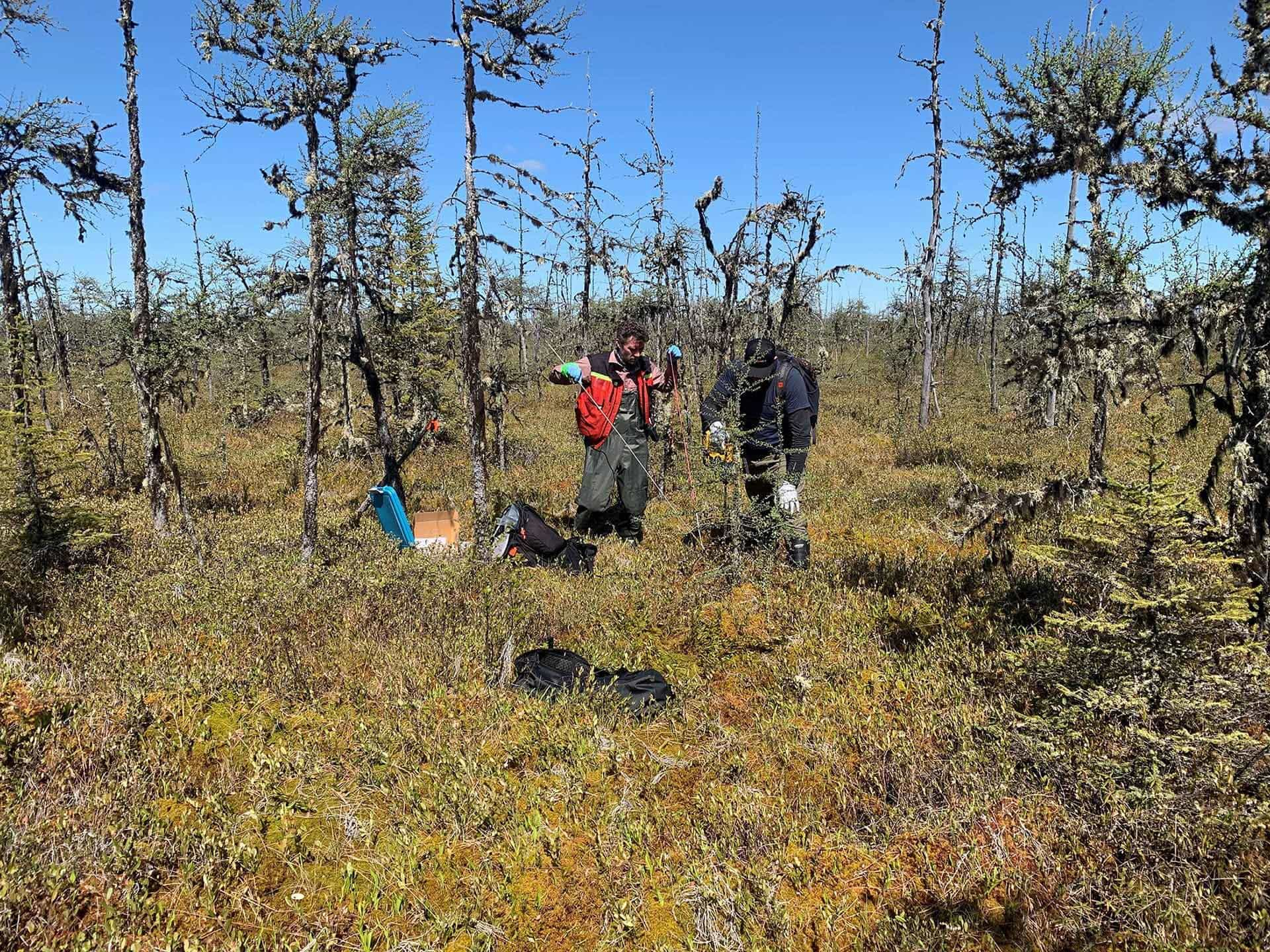 Field Geochemistry Survey, June 2019